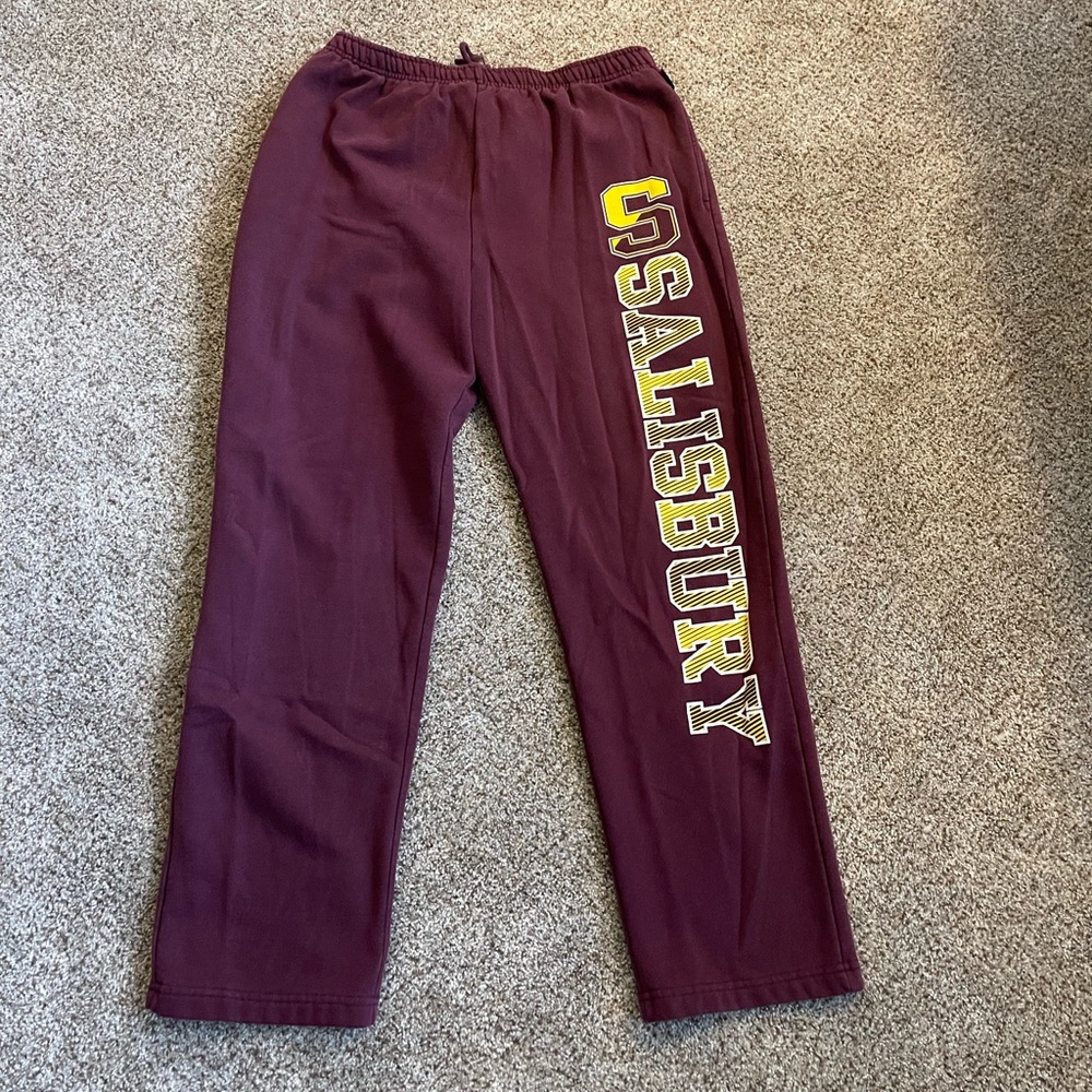 Mens Jansport Salisbury Sweatpants